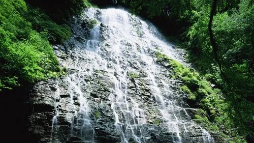 数字化节能